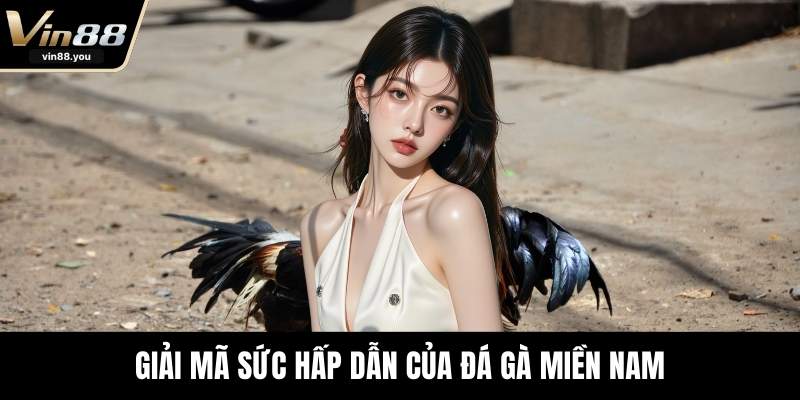 Giải mã sức hấp dẫn của đá gà miền Nam