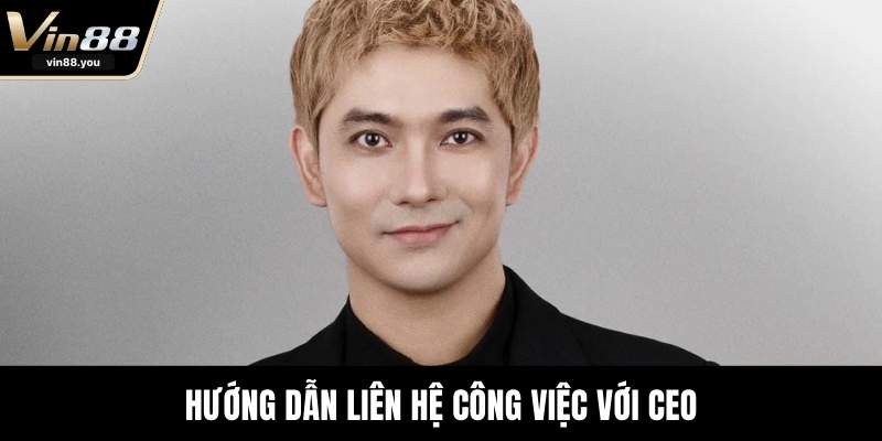 Hướng dẫn liên hệ công việc với CEO