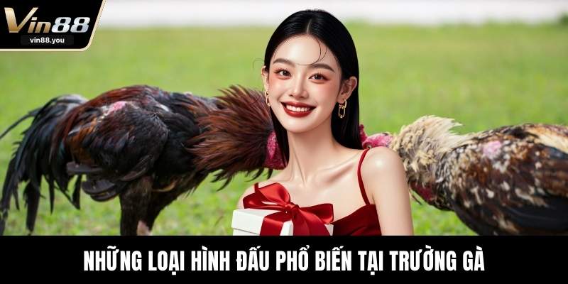 Những loại hình đấu phổ biến tại trường gà