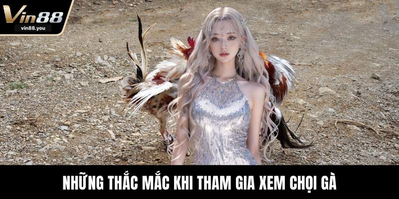 Những thắc mắc khi tham gia xem chọi gà