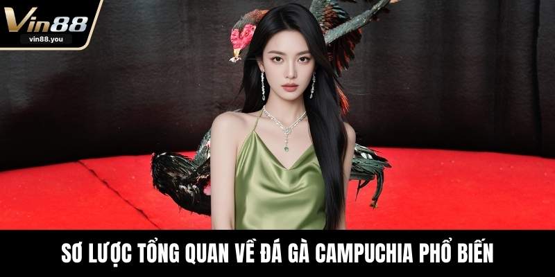 Sơ lược tổng quan về đá gà Campuchia phổ biến