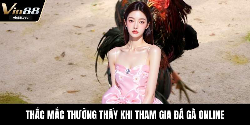 Thắc mắc thường thấy khi tham gia đá gà online